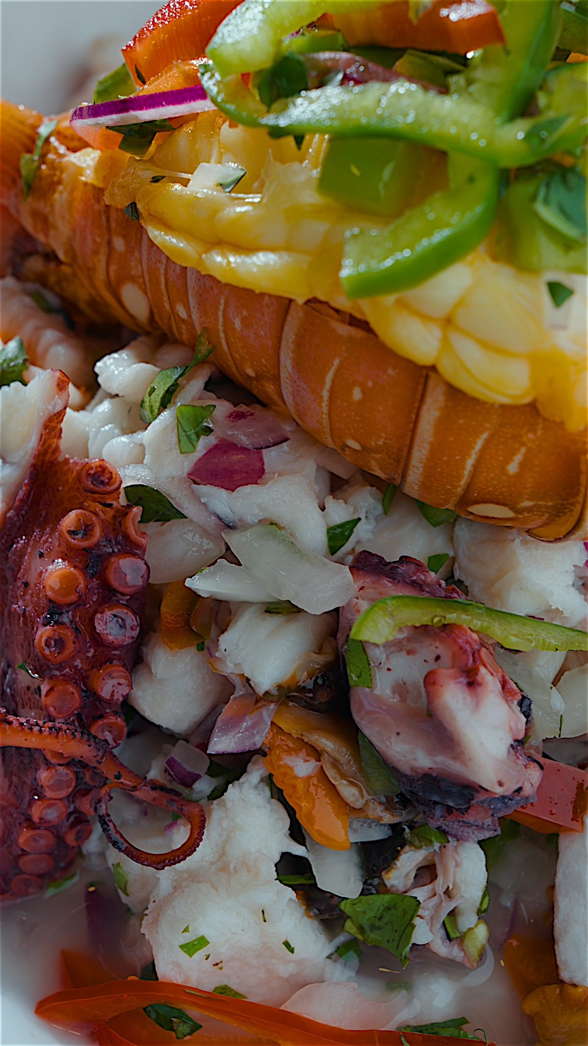 Ceviche fresco